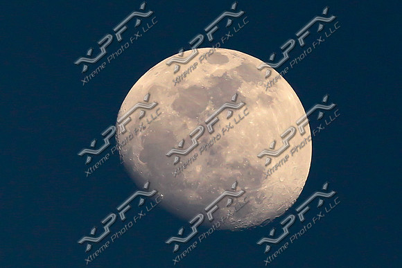 XP1_4872