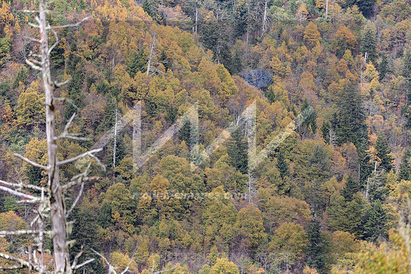 MI2_5555