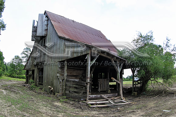 XPF10869