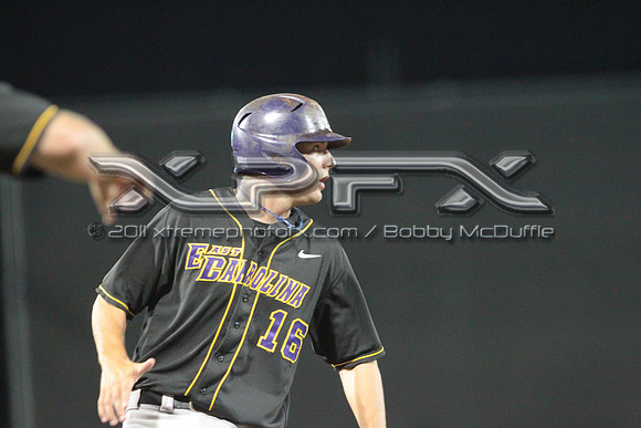 XP2_3229