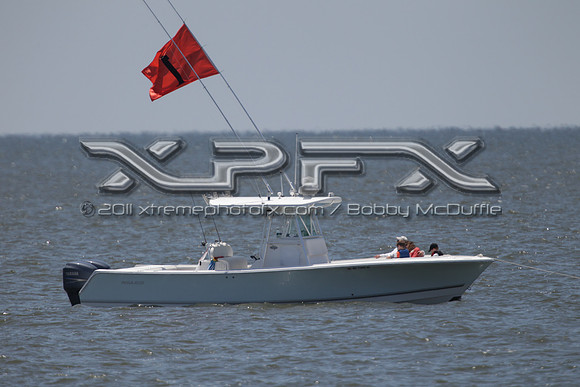 XP2_5781
