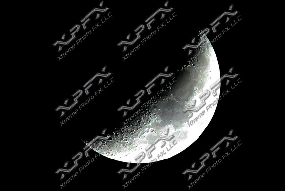 XP1_8443