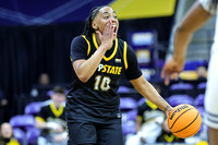 Sunbelt Conference Women's Basketball Championships 2026 Slideshow