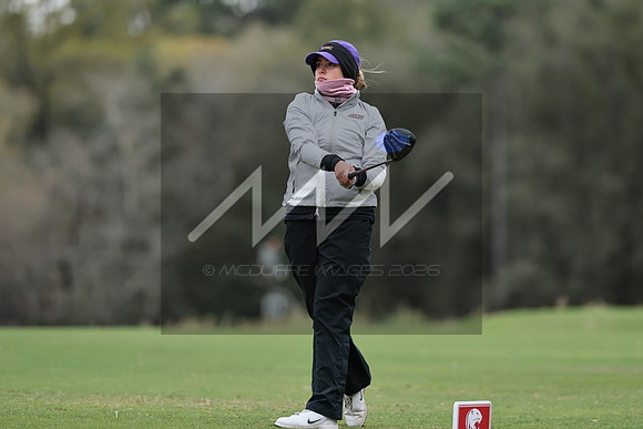 MI3_9590