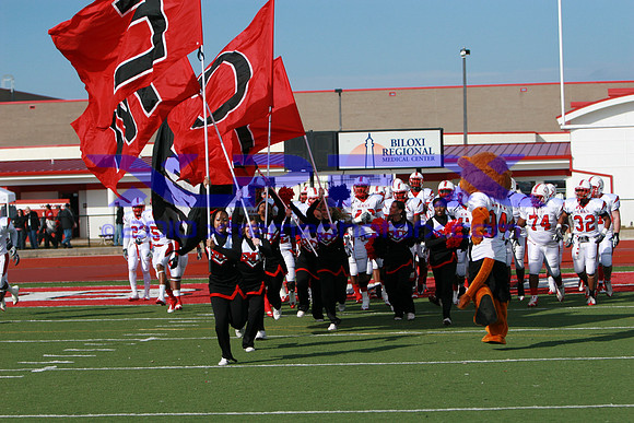 IMG_6565.jpg
