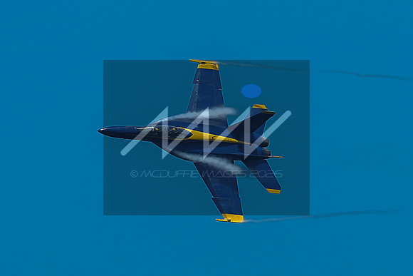MI3_6931
