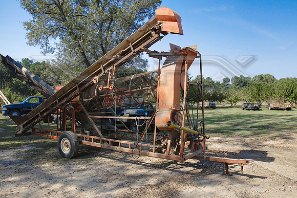 Peanut Machine