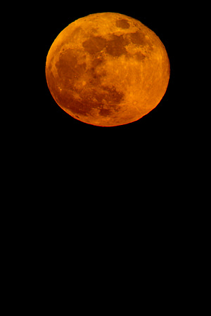 IMG_9628