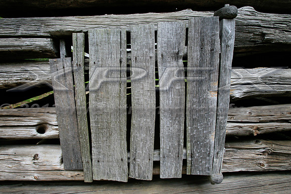 _PF11537