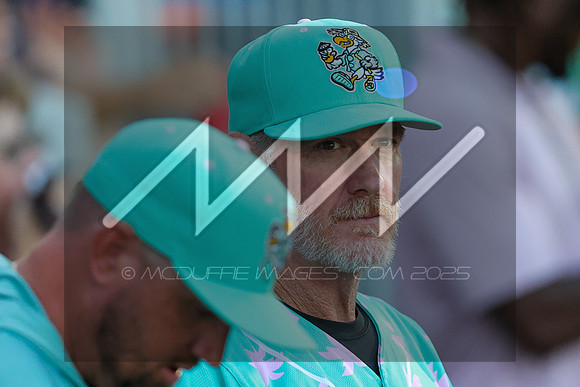 MI3_5518