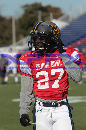 XP1_1441