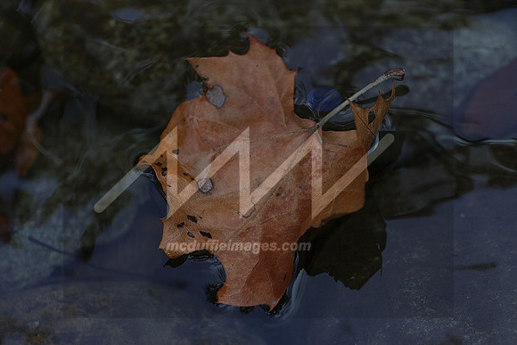 MI2_5595