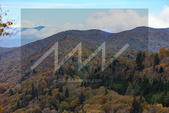 MI2_5536