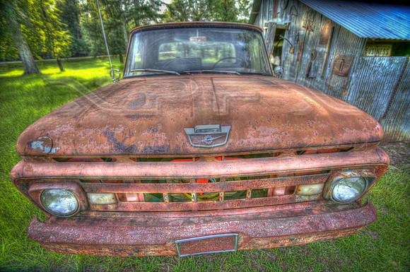 ford2