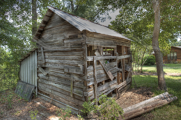 shed back