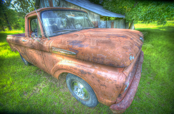 ford4