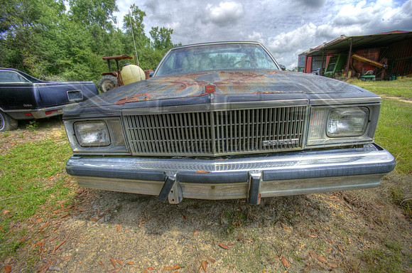 el camino