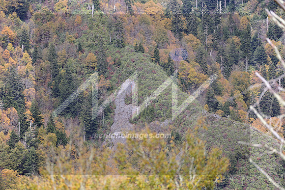 MI2_5550